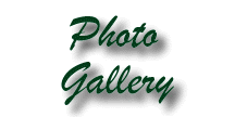 gallery.GIF (4772 bytes)
